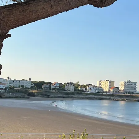 Sur La Falaise De Pontaillac